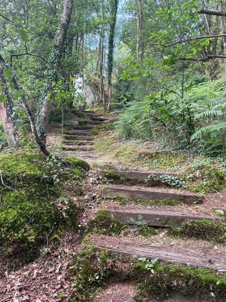 L Antre De Kergoff Villa Caurel  Buitenkant foto
