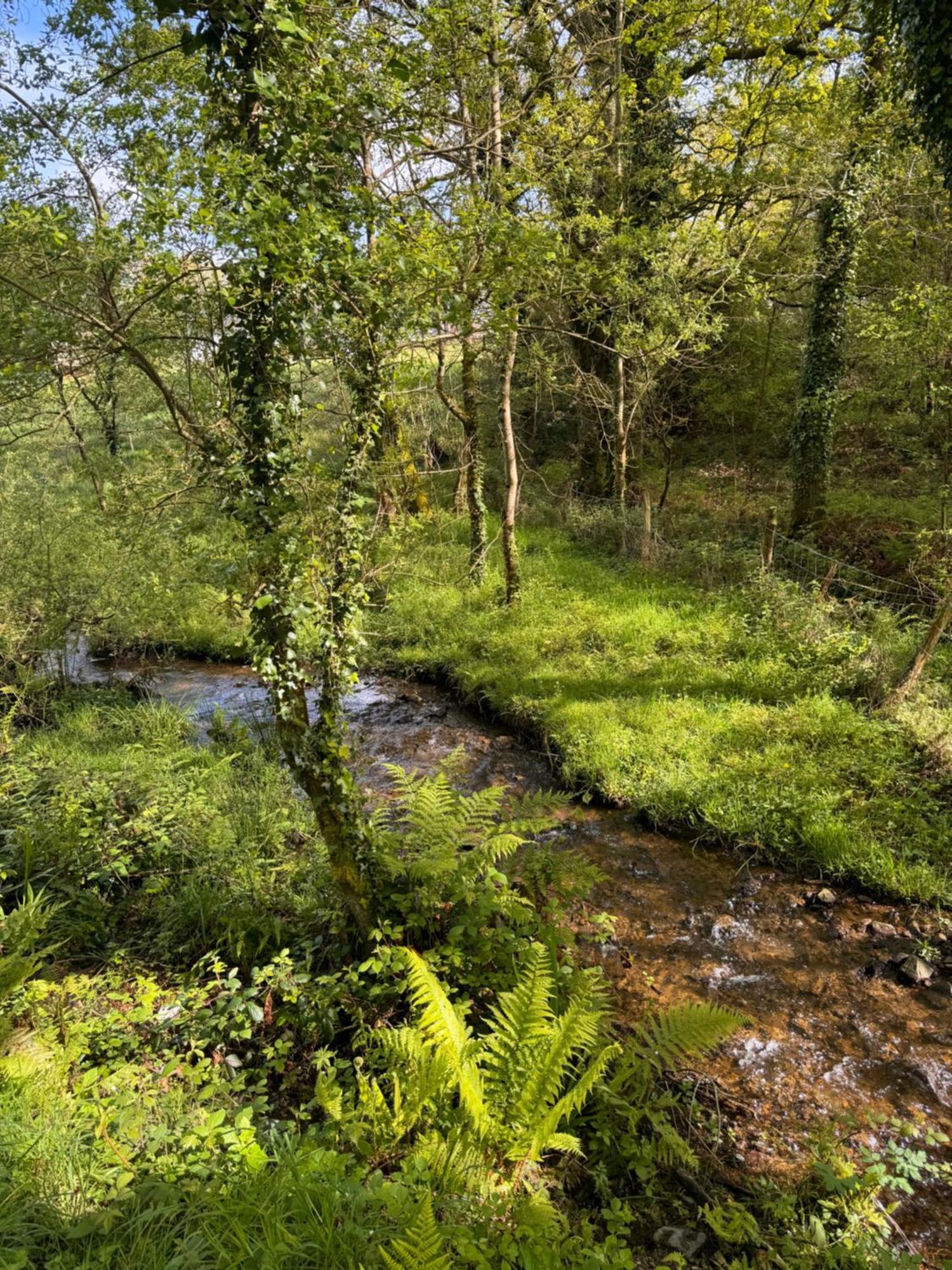 L Antre De Kergoff Villa Caurel  Buitenkant foto